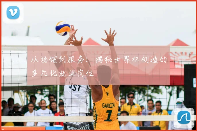 从场馆到服务：揭秘世界杯创造的多元化就业岗位